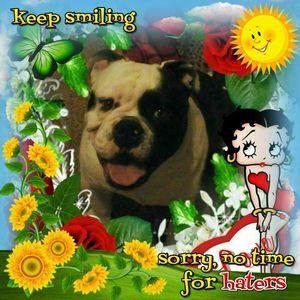 Meet your Posher, Lupe